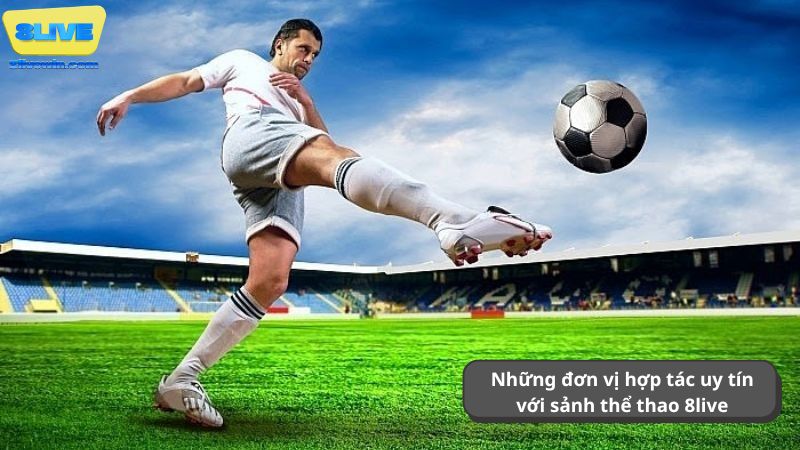 Một số đơn vị uy tín hợp tác cùng 8live